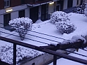 la neve caduta per tutto il giorno della befana (1)